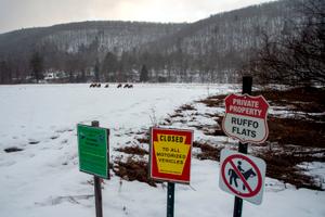 Elk — like those seen here in a field in Benezette — are a major tourism driver in northern Pennsylvania.